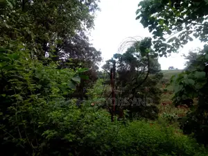 Land For Sale In Kitusuru